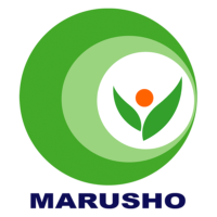 丸昇グループ 丸昇グループ